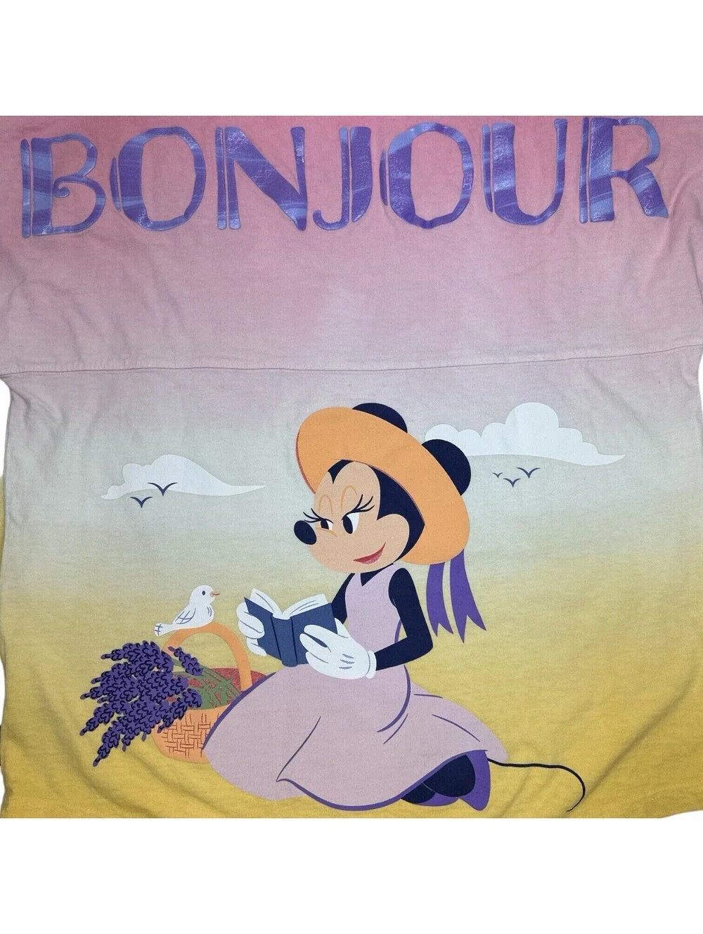 Disney Spirit Jersey Women Bonjour Minnie Mouse Ombre Disneyland Size M